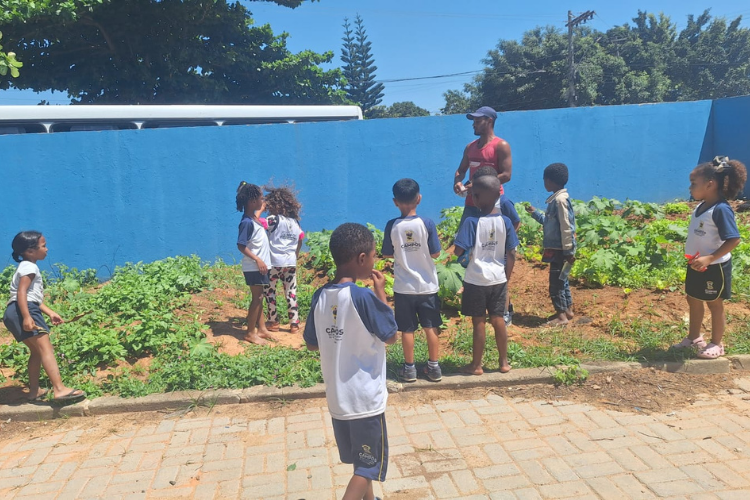 Alunos de Travessão cultivam hortaliças e aprendem sobre alimentação, meio ambiente e vida no campo