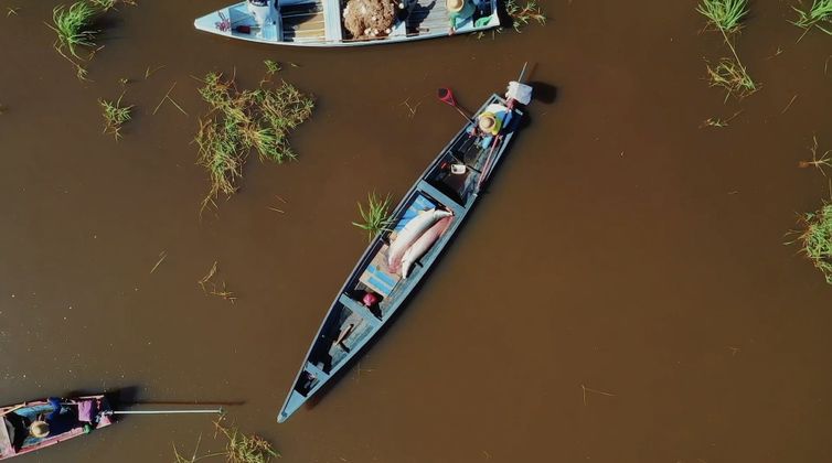Rio de Janeiro (RJ), 28/10/2026 - Série documental Ciência Flutuante, sobre pesquisas na Amazônia, estreia na TV Brasil. Foto: TV Brasil