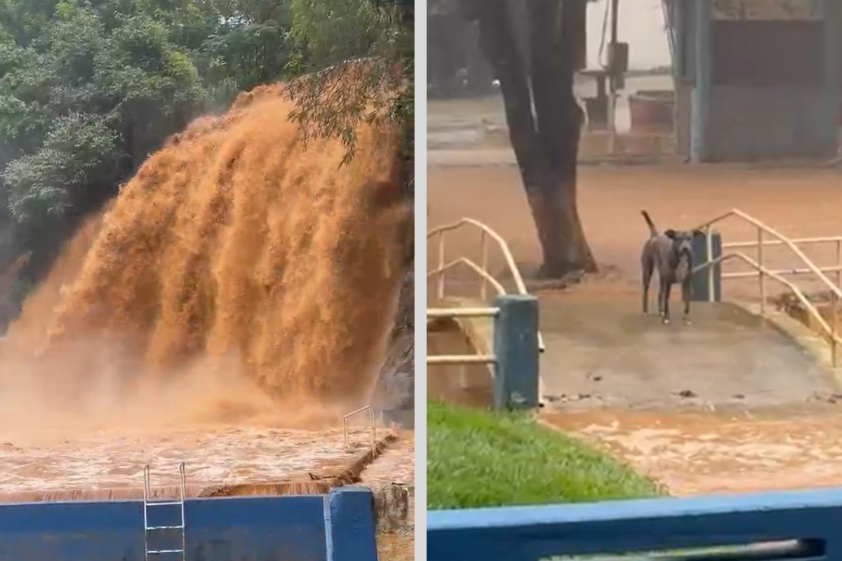 Chuva forte deixa cão isolado por correnteza em ponto turístico de Cambuci; bicho está em segurança