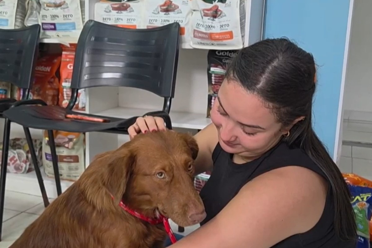 Após ser espancado em Macaé, cão Chocolate ganha novo lar com professora