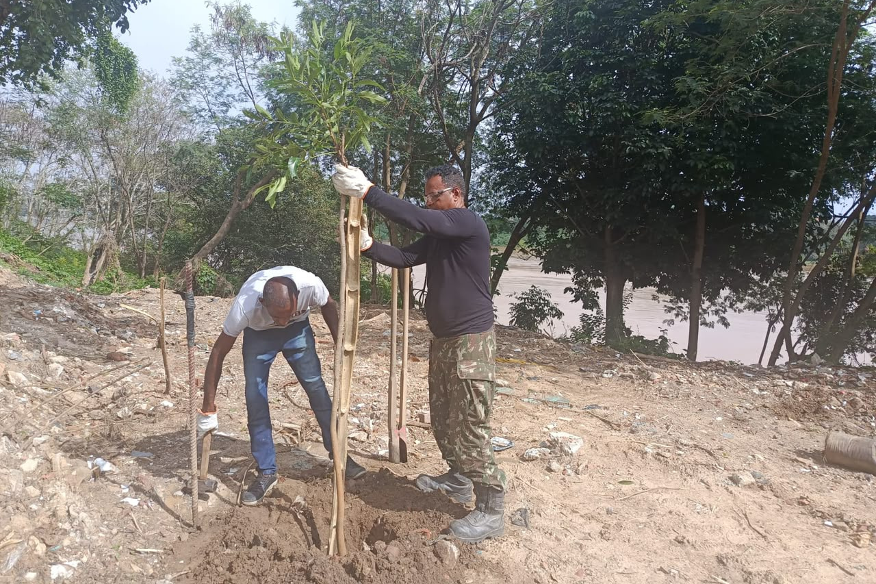 Margens do Paraíba ganham novas mudas nativas e poda em área da Lapa
